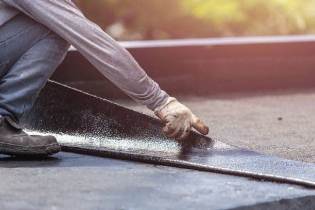 Professional Exterior Waterproofing technician working in Buckhead Ridge, FL